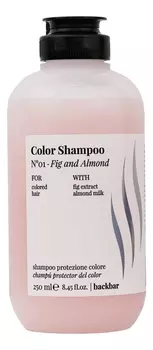 Шампунь для защиты цвета и блеска волос BackBar Color Shampoo No01: Шампунь 250мл