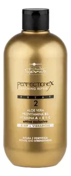 Система для восстановления волос после обесцвечивания и химической завивки Inimitable Blonde Perfectionex Treat 2 500мл