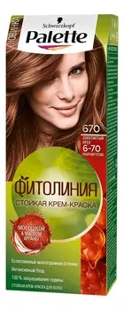 Стойкая крем-краска для волос с маслом арганы Фитолиния 110мл: 670 (6-70) Бронзовый каштановый