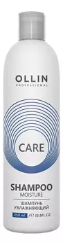 Увлажняющий шампунь для волос Care Shampoo Moisture: Шампунь 250мл