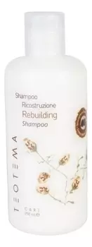 Восстанавливающий шампунь для волос Rebuilding Shampoo: Шампунь 250мл