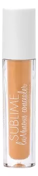 Жидкий консилер для лица с эффектом сияния Sublime Luminous Concealer 7мл: No 03