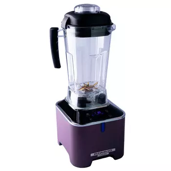 Блендер профессиональный RAWMID Dream Luxury 2 BDL-09 (цвет фиолетовый)