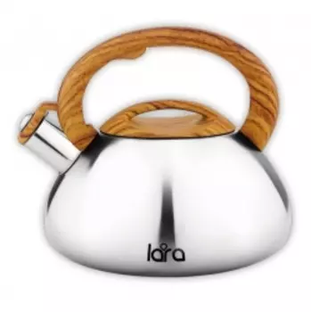 Чайник металлический Lara