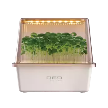 Набор для микрозелени RED SOLUTION MGK480