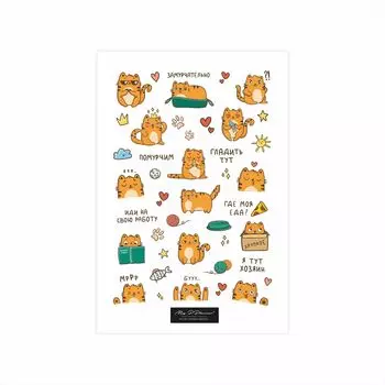 Стикер "Котик"