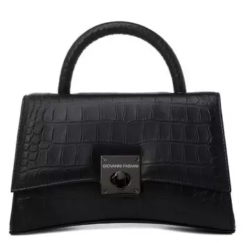 Дорожные и спортивные сумки Giovanni Fabiani