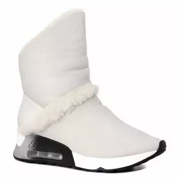 Кроссовки и кеды Ash