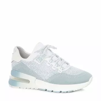 Кроссовки и кеды Ash