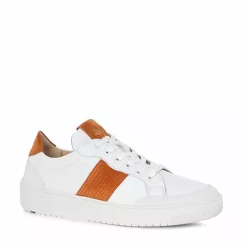 Кроссовки и кеды Lloyd