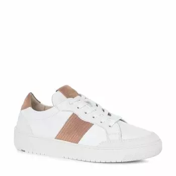 Кроссовки и кеды Lloyd