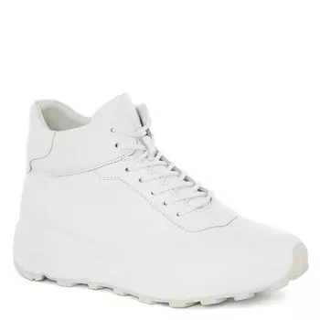 Кроссовки и кеды Maison David