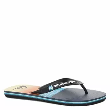 Шлепанцы Quiksilver
