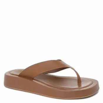 Шлепанцы Tendance