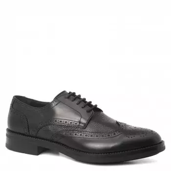 Туфли Dino Bigioni