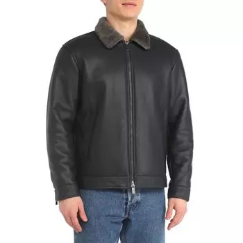 Верхняя одежда Maison David