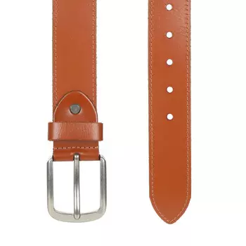 Рыжий ремень