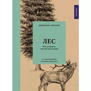 Адриане Лохнер. Лес. Как устроена лесная экосистема