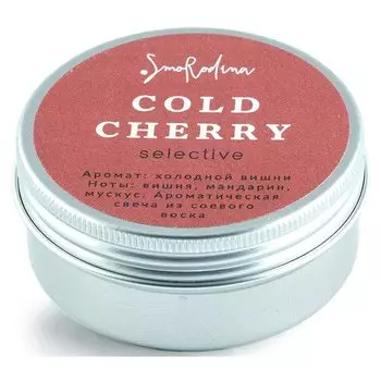 Ароматическая свеча «Холодная вишня», 40 г