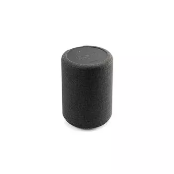 Беспроводная колонка с голосовым управлением Audio Pro G10 Dark Grey