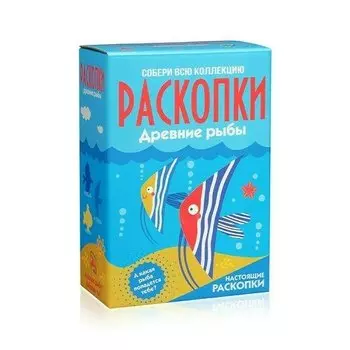 Большой Набор для проведения раскопок Бумбарам Рыбы
