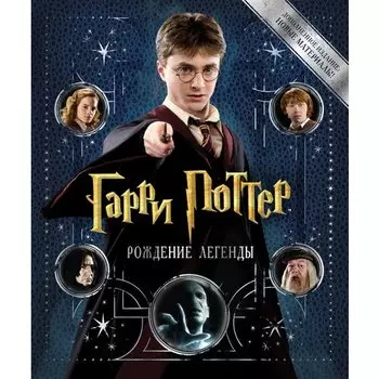 Брайан Сибли. Гарри Поттер. Рождение легенды