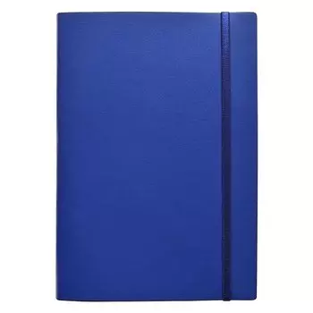 Ежедневник датированный 2022 Infolio, коллекция Clear, синий, 352 страницы, 14 х 20 см