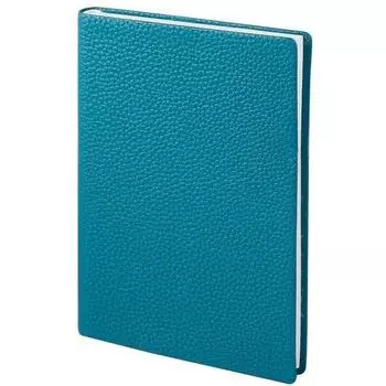 Ежедневник недатированный "Palette" А5, 320 стр.