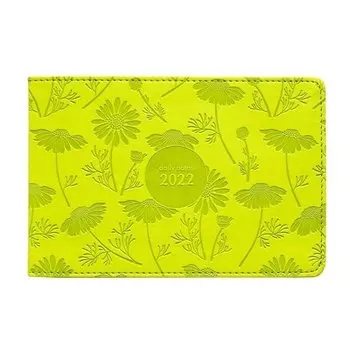 Еженедельник датированный 2022 Infolio, коллекция Camomile, салатовый, 128 страниц, 16 х 10,5 см