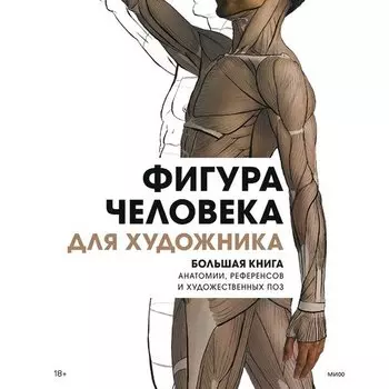 Фигура человека для художника