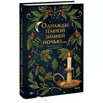 Элизабет Макнил. Однажды темной зимней ночью...