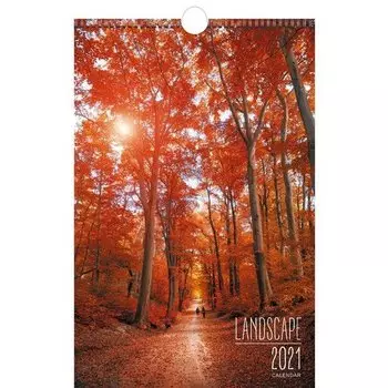 Календарь на 2021 г. "Природа. Дизайн 1", 28 х 43,5 см
