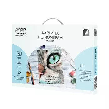 Картина по номерам на холсте Три Совы Кошачий взгляд, с акриловыми красками и кистями, 30 х 40 см