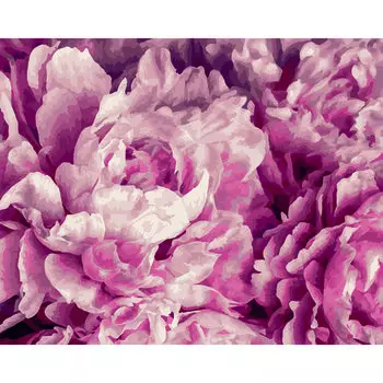 Картина по номерам на холсте Три Совы Нежные пионы, 40 х 50 см, с акриловыми красками и кистями