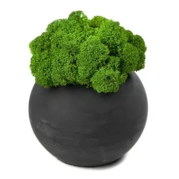 Кашпо бетонное OKTAUR со мхом Сфера, антрацит