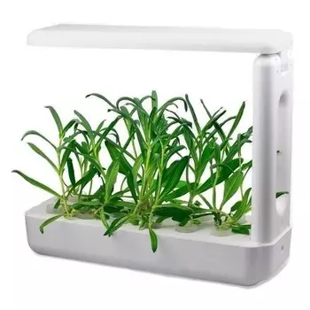 Кухонная садовая ферма "K-Box"