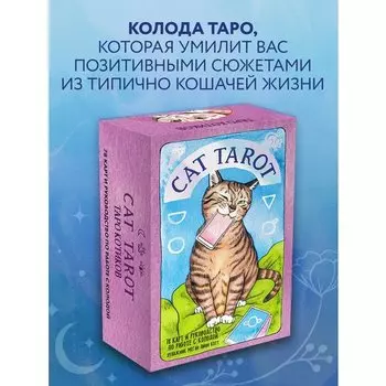 Меган Линн Котт. Таро Котиков
