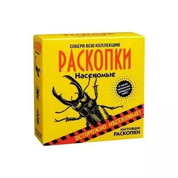 Набор для проведения раскопок Бумбарам Насекомые