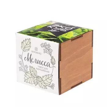 Набор для выращивания Magicmee Экокуб Lite Мелисса