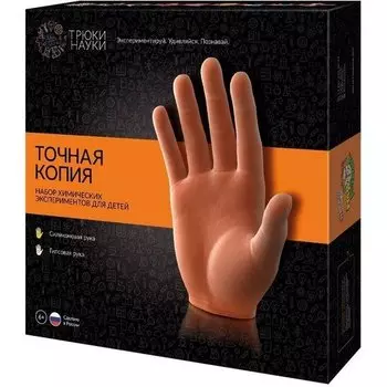 Набор "Точная копия"