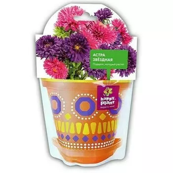 Наборы для выращивания Happy Plant Астра звездная