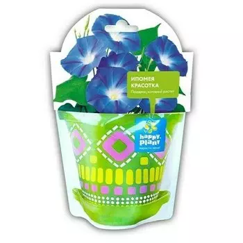 Наборы для выращивания Happy Plant Ипомея красотка