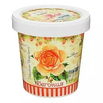 Наборы для выращивания в горшочках Rostok Visa Бегония