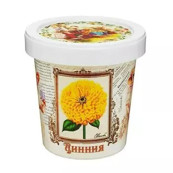 Наборы для выращивания в горшочках Rostok Visa Цинния