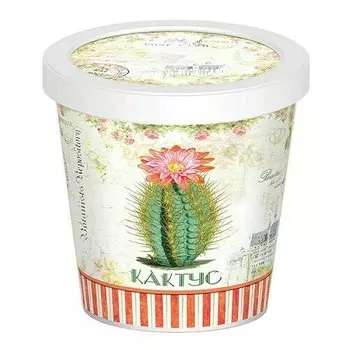 Наборы для выращивания в горшочках Rostok Visa Кактус