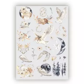 Наклейки для ежедневника Fancy Planner "Совы"
