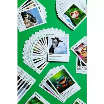 Настольная игра Mr.Frogo Найди пару. Смешные животные