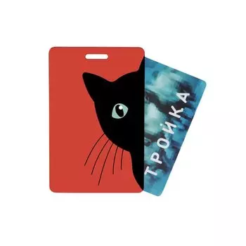 Обложка для проездного 33