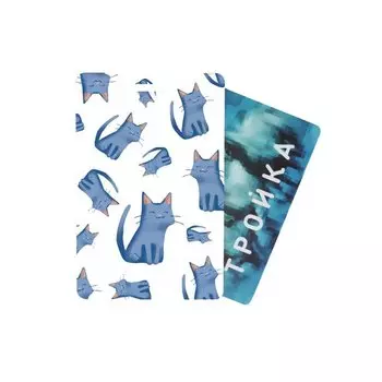 Обложка для проездного 43