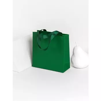 Пакет подарочный Symbol, зеленый, 23 х 23 х 9 см
